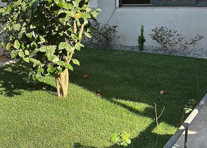 Διαμέρισμα Music Ii Bicas